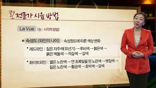 와인특강 제9회 - 와인 테이스팅