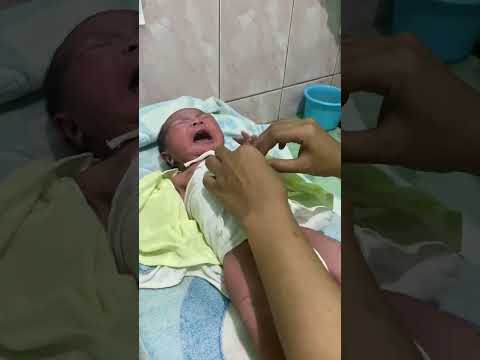 Video: Cara Mencuci Rambut Baru Lahir: 11 Langkah (dengan Gambar)