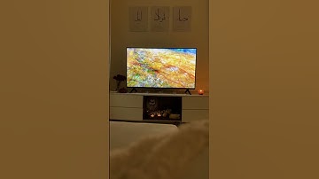 تلاوة عطرة من ايات الذكر الحكيم