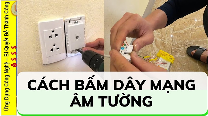 Hướng dẫn cách bấm dây mạng âm tường năm 2024