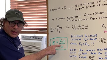 Enzyme Efficiency | Biology | DAT OAT Exam | DAT Destroyer