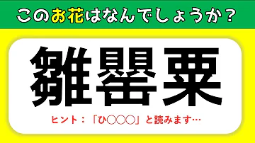 花の難読漢字 あなたは何問解ける 難しい漢字読みクイズを紹介 全問 Mp3