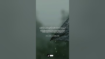 سورة عبس SURAH ABASA رمضان 1445 RAMADAN 2024 #عبدالولي_الاركاني #abdulwali_alarkani