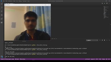 Real-time feature tracking and blurring with OpenCV