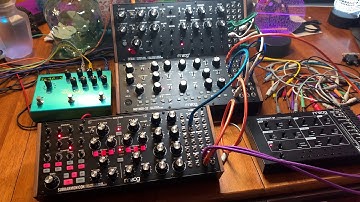 “Forte” (Moog Subharmonicon x Mother-32 x DFAM x Werkstatt-01)