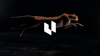 One year crafting with WebGPU. Embark on New Frontiers of Digital Experiences