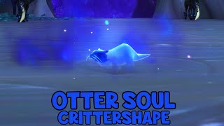 WoW Shadowlands 9.1.5 - Otter Soul Crittershape | Night Fae