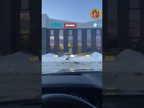 Spazzo io la neve sono robot #memes #mattytrash #instagram #facebook #tiktok #humor #short #shorts