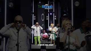 La música correcta transforma cualquier celebración en una experiencia memorable.