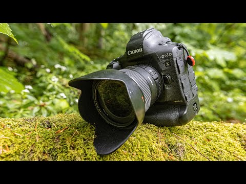 Canon EOS 1DX