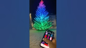 The stunning Christmas tree in Courmayeur, powered by Twinkly Pro.