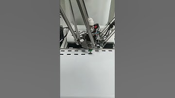 Flexible Spider Arm Placing Machine—your solution for automated feeding!