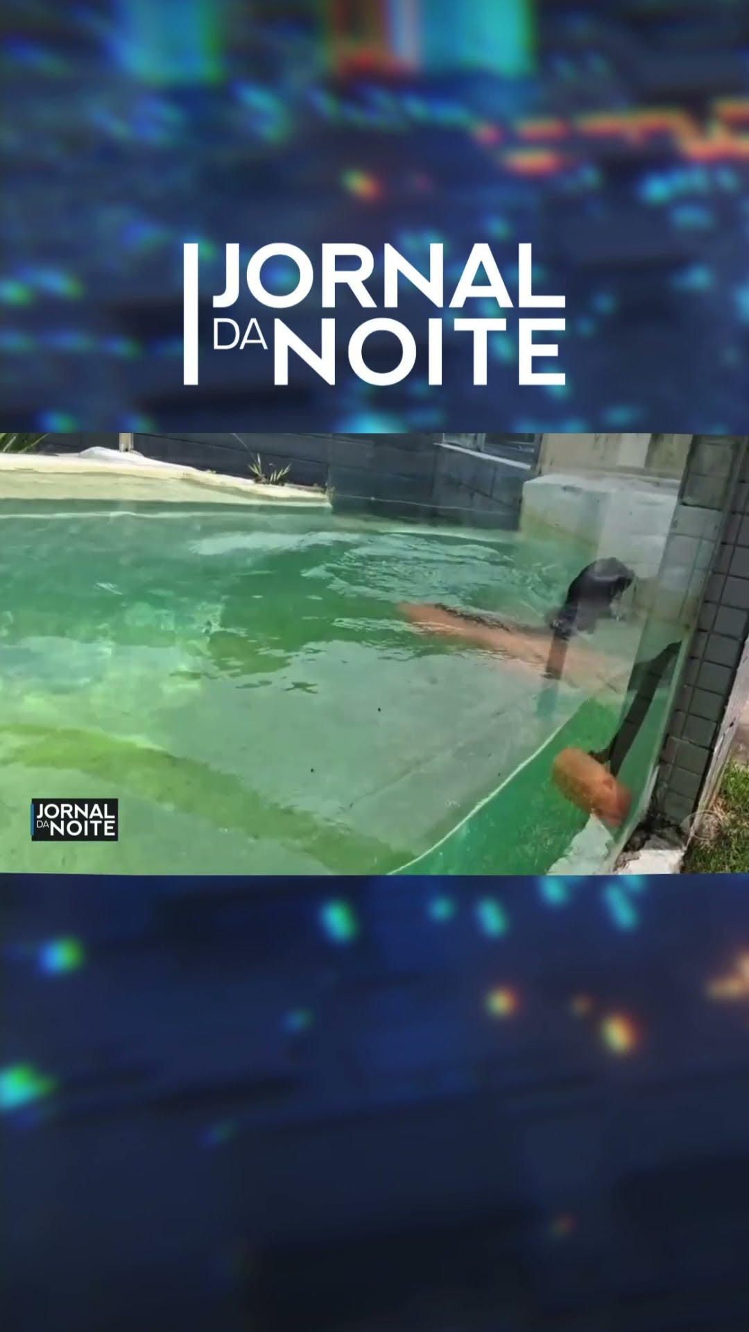 Campanha vai escolher nome de filhote de lontra em zoológico no interior de SP #shorts