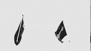 Flag Transition - Behance | Motion Graphics - Envato elements