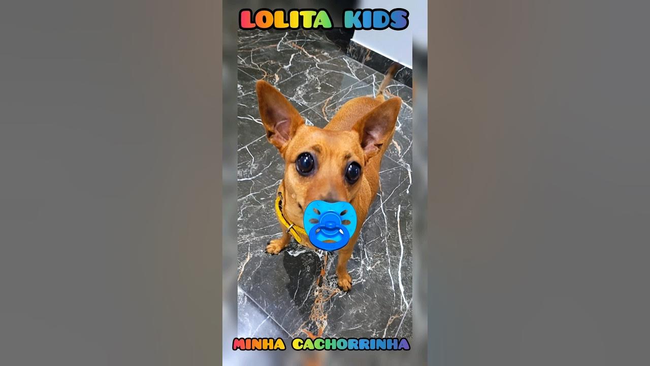 Cute Dog - Minha Cachorrinha fofa 