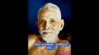 #ramanamaharshi #motivation #chagantipravachanam#అరుణాచలశివ #viralshort#trending #devotionalshorts