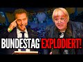 Sie zittert vor wutafd mitglied attackiert claudia roth   afd politik