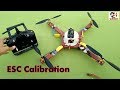 How To Calibrate ESC In Apm 2.8 Flight Controller | ESC Calibration In Apm Flight 2.8 Controller !