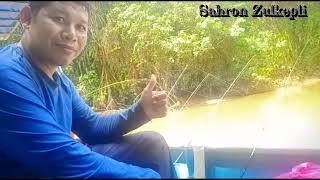 Borneo River Prawn - Sahron Zulkepli