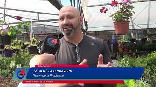 Se viene la primavera - Vivero Luna