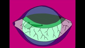 Fliptrix - Smooth Crash Landing (Official Video) (Prod. Runone & Molotov)