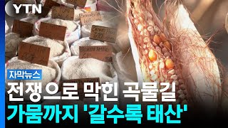 쌀값에 밀값까지 줄줄이 상승...전 세계 밥상이 흔들린다 [자막뉴스] / YTN