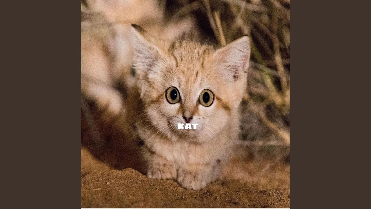 Watch KAT on YouTube Watch KAT on YouTube