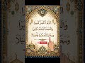 Allahu Akbar Kabira Beautiful Dhikr ❤️ | Peaceful Islamic Reminder #shorts #godisgreat #quran