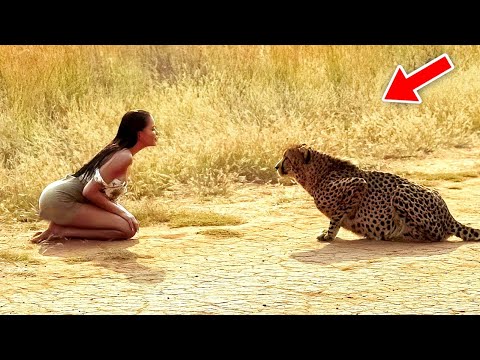 ადამიანისა და ცხოველის მეგობრობის დაუჯერებელი ისტორიები