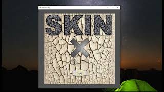 How To Make Skin