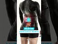 Relieve chronic pain fast using the Light TherapyX portable deep tissue laser therapy Device ShopNow