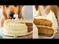 Dog Cake Recipe 