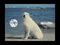 See You Smile - Calm Me Down feat.Rude-α【OFFICIAL MUSIC VIDEO】