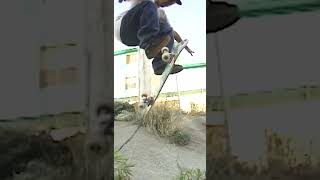 Classic Skateboarding Shorts
