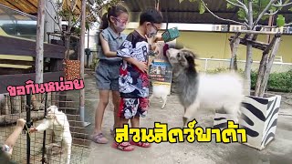 พาเด็กไป สวนสัตว์พาต้า ปรับปรุงใหม่ จะเจอคิงคองไหม | เอวาเอธาม