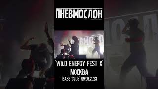 "ПНЕВМОСЛОН" - А мне похуй не на всё ("WILD ENERGY FEST X")Москва "BASE Club" 09.06.2023