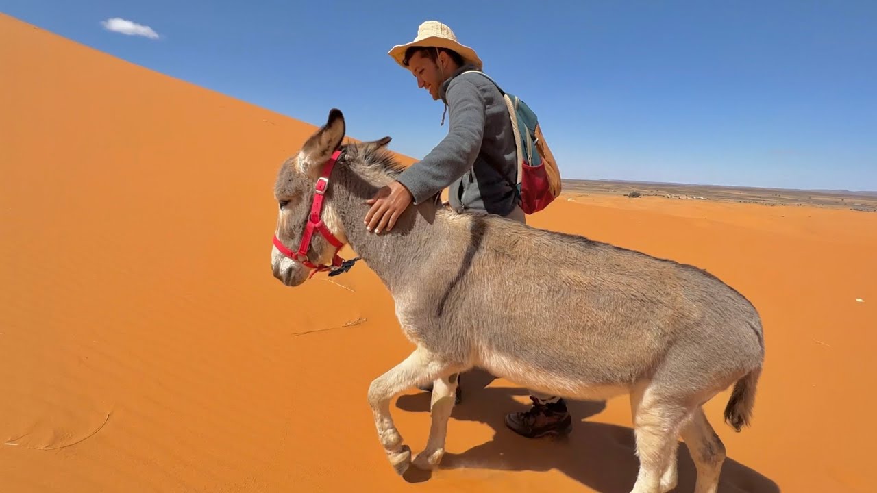 #VLOG75 | من بعد عام من السفر😍بحماري خوان 👨🏽‍🦯 في أرجاء المغرب و آخيرا وصلتو للصحراء 🇲🇦