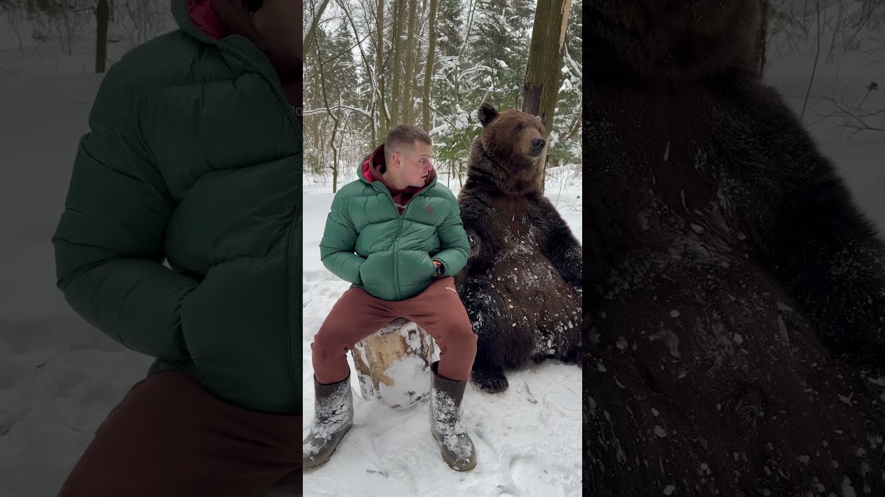 WATCH Big Friendly Bear Just Wants To Hold Hands Shorts