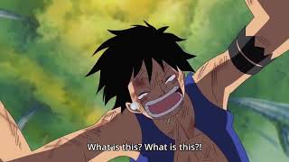 One Piece Ep 405 Sad Amv