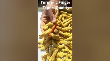 Turmeric Finger Export Quality