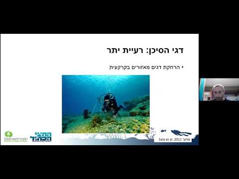 אראסים, אצות וקיפודים – דרמה בשינוי מתמיד בים התיכון