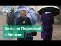 Зима в апреле — Москву и Московскую область накрыл снег