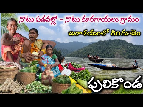 Tribal organic vegetables ''Small Market" in Donkarayi reservoir | నాటుసంత @TribalMirror