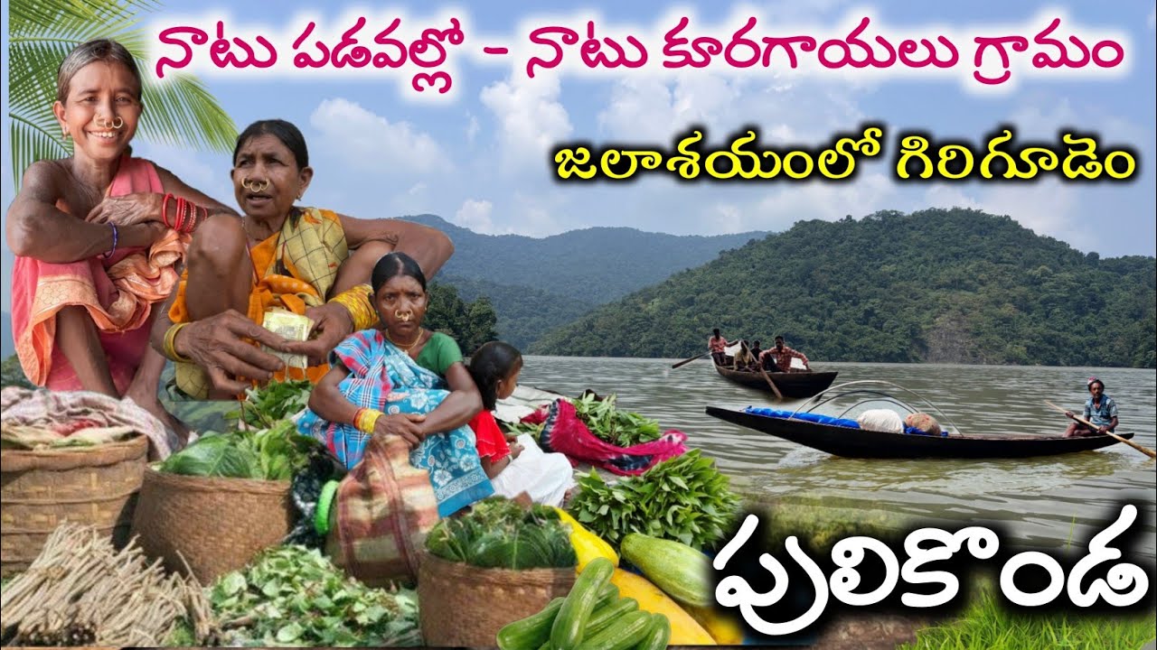Tribal organic vegetables ''Small Market" in Donkarayi reservoir | నాటుసంత 