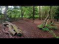 Welsh terrier off lead の動画、YouTube動画。