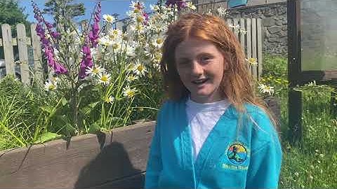 Cornwall Music Education Hub - 7 Songs for G7 - Hey Human Intro Video