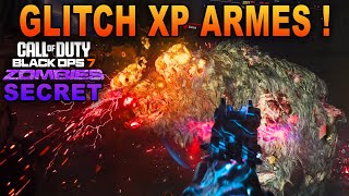 Debloquer Les Camouflages Rapidement Et Facilement Black Ops 7 Secret Zombie