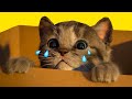 Little Kitten & Friends - Fun Pet Care Kids Game - Little Kitten Adventures #140