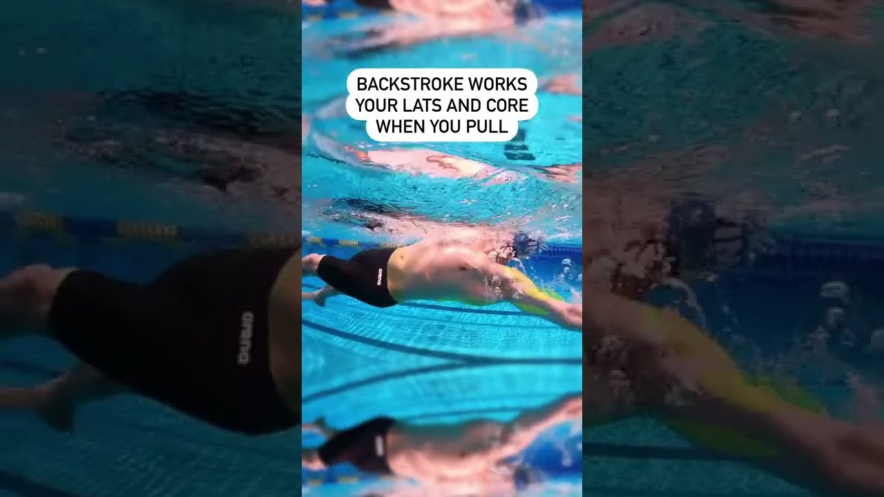 What Muscles Does Backstroke Swimming Use 