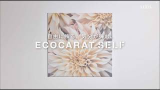 【LIXIL】エコカラット セルフ　プロモーション動画